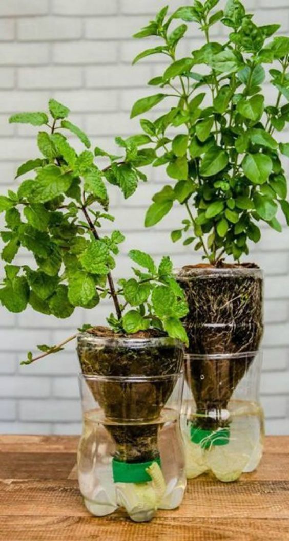 Inspirace na jarní, zahradní tvoření: Využijte obyčejnou PET lahev!