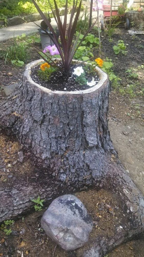 Jednoduchý způsob na zkrášlení vaší zahrádky: Zasaďte květinu do kmene stromu!