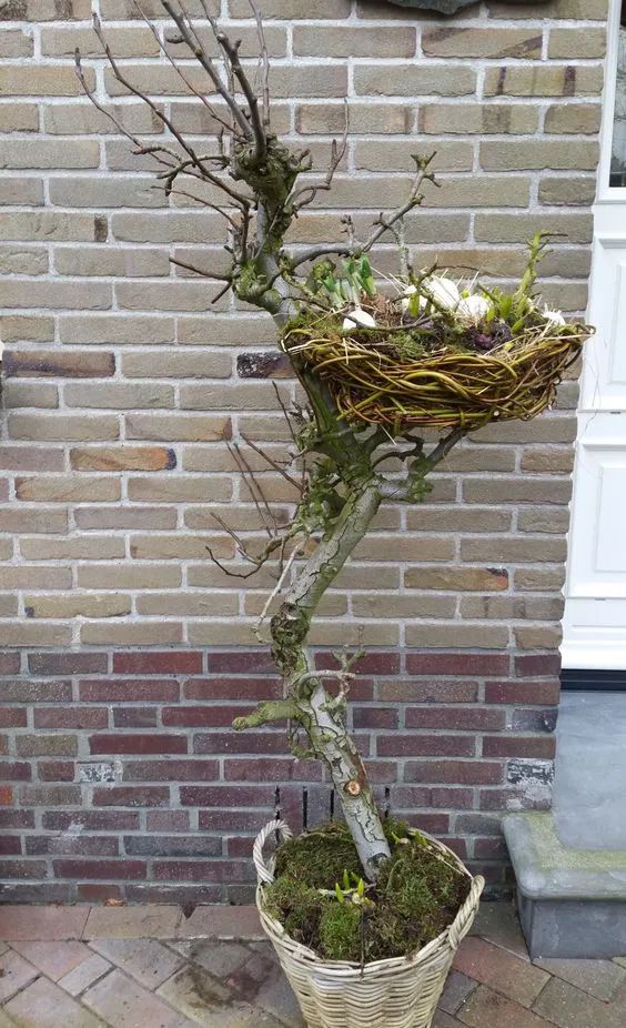 Nápady na jarní dekorace, které zkrášlí každou terasu, zahradu i balkón