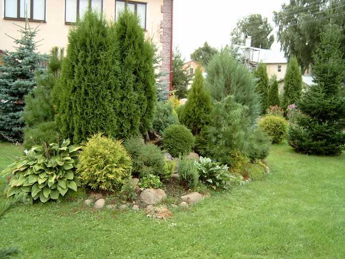 Design zahrady u domu: 53 malebných možností