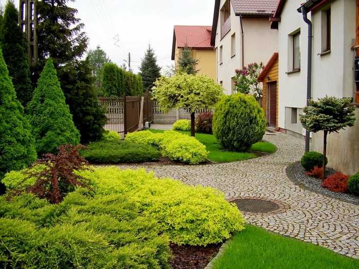 Design zahrady u domu: 53 malebných možností