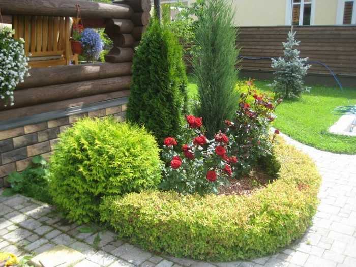 Design zahrady u domu: 53 malebných možností