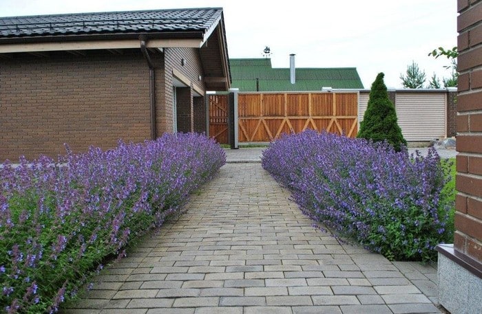 Levandulové nádvoří vlastníma rukama: 50 fascinujících příkladů