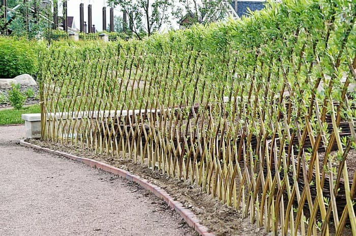 Skutečný proutěný plot, který zdobí váš pozemek: 40 příkladů fotografií