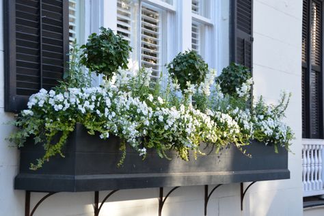 Přeměňte své truhlíky a květináče v krásné dekorace na parapety: 40+ inspirací