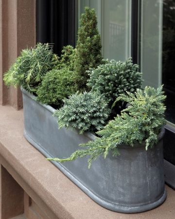 Přeměňte své truhlíky a květináče v krásné dekorace na parapety: 40+ inspirací