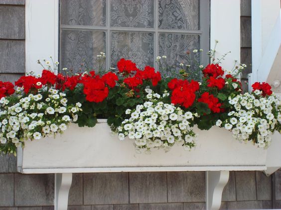 Přeměňte své truhlíky a květináče v krásné dekorace na parapety: 40+ inspirací