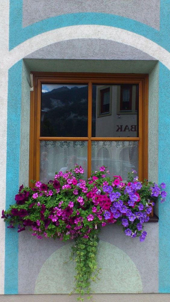 Přeměňte své truhlíky a květináče v krásné dekorace na parapety: 40+ inspirací