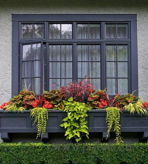 Přeměňte své truhlíky a květináče v krásné dekorace na parapety: 40+ inspirací