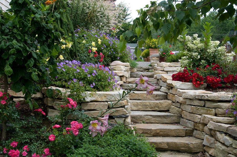Elegantní zahradní chodník, který zvýrazní krásu výsadby kolem: 40 inspirací