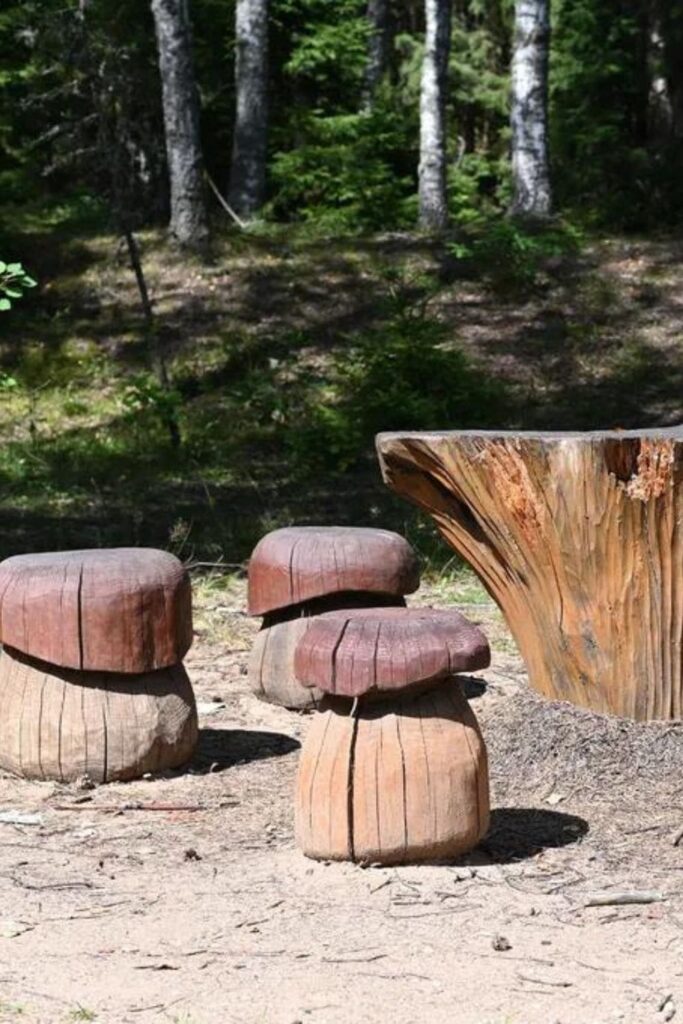 15+ kreativních nápadů na dekorace z pařezů do zahrady, které oživí každý kout