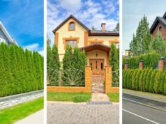 Zelená stěna z tújí: 30 inspirací pro soukromí i estetiku