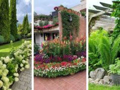 Krásná zahrada i terasa: 30 inspirací, které promění váš exteriér