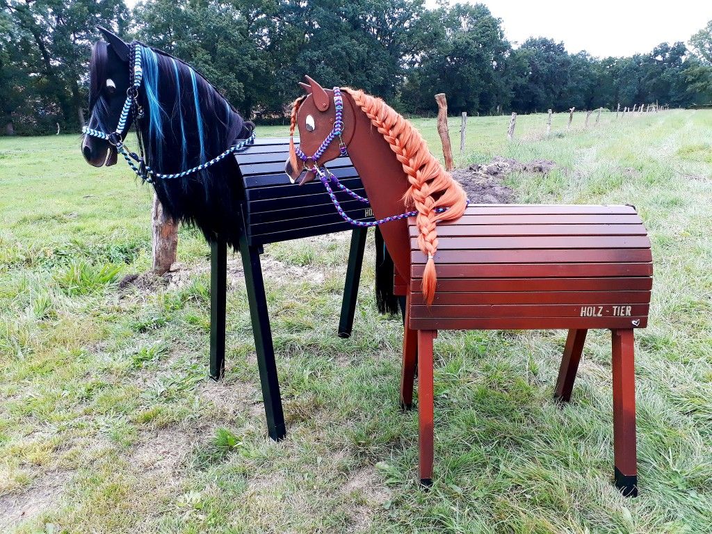 Dřevění koně do zahrady: 20 inspirací pro elegantní dekoraci i zábavu pro děti