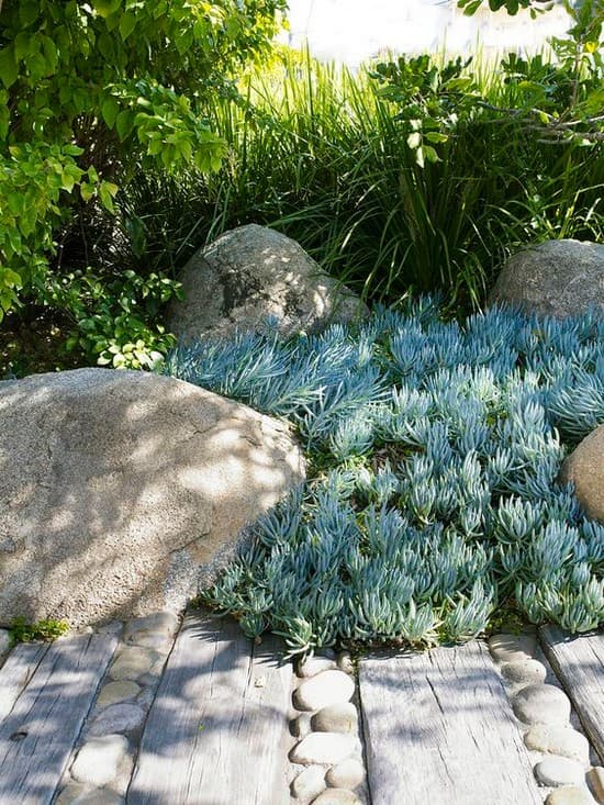 Zahradní design se skalou: 35+ inspirativních příkladů skalek a květinových záhonů pro váš pozemek