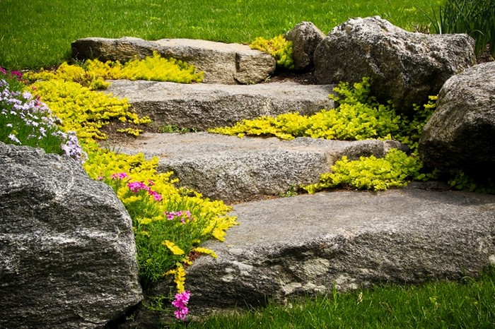 Elegantní zahradní chodník, který zvýrazní krásu výsadby kolem: 40 inspirací