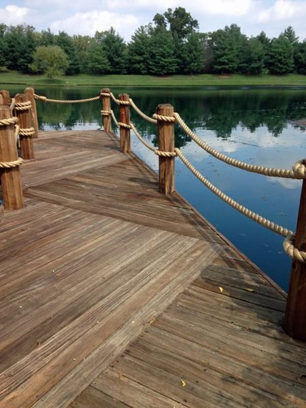 Přírodní elegance pro dům i zahradu: 30+ inspirací na lanový plot