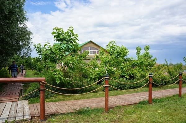 Přírodní elegance pro dům i zahradu: 30+ inspirací na lanový plot