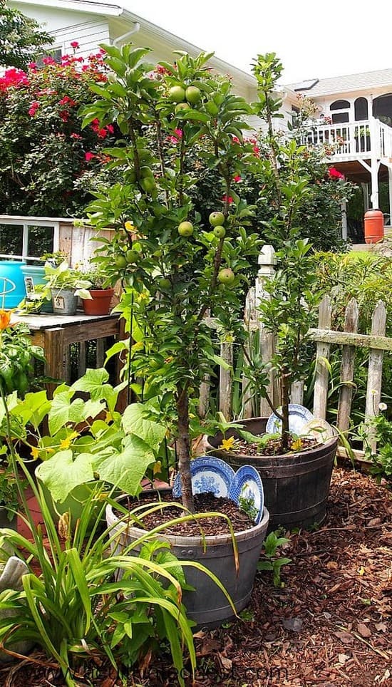 Krásná zahrada i terasa: 30 inspirací, které promění váš exteriér