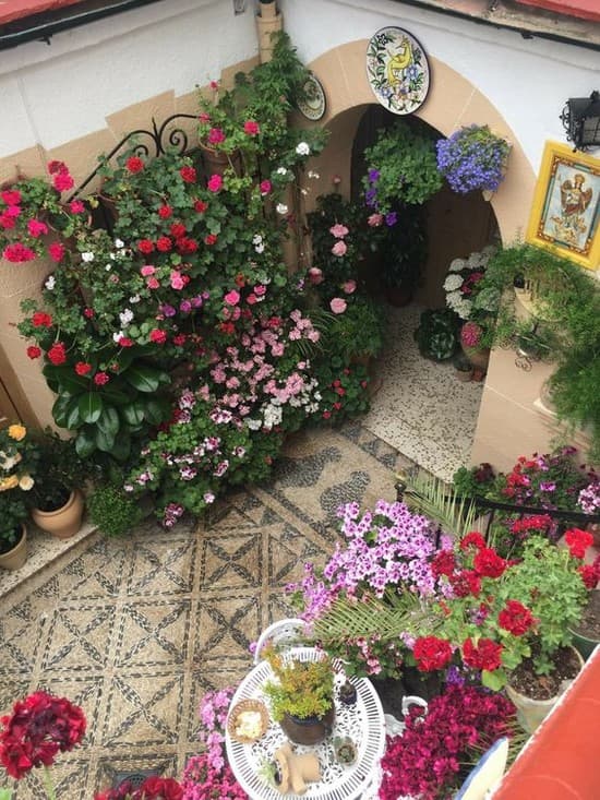 Krásná zahrada i terasa: 30 inspirací, které promění váš exteriér