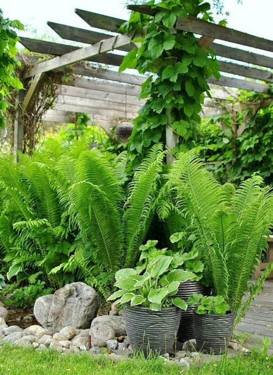Krásná zahrada i terasa: 30 inspirací, které promění váš exteriér