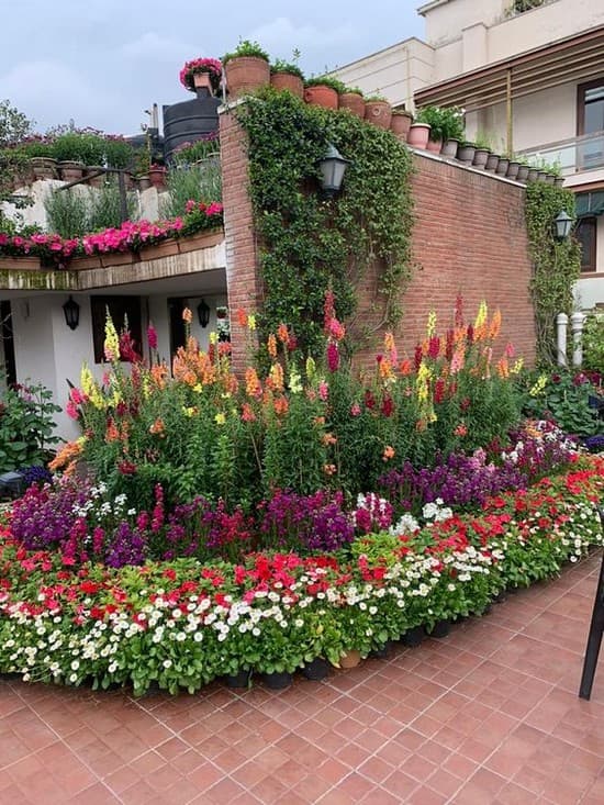 Krásná zahrada i terasa: 30 inspirací, které promění váš exteriér
