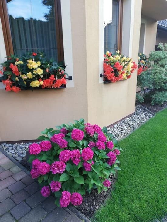 Krásná zahrada i terasa: 30 inspirací, které promění váš exteriér