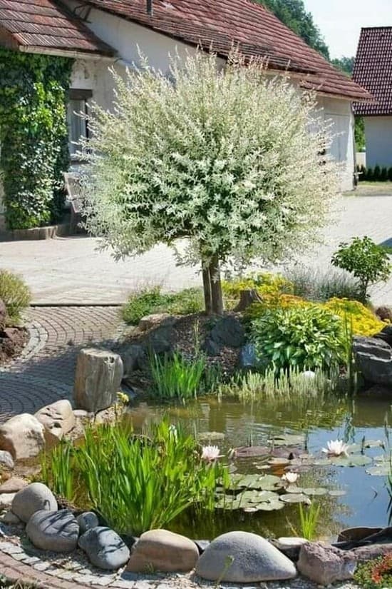 Krásná zahrada i terasa: 30 inspirací, které promění váš exteriér
