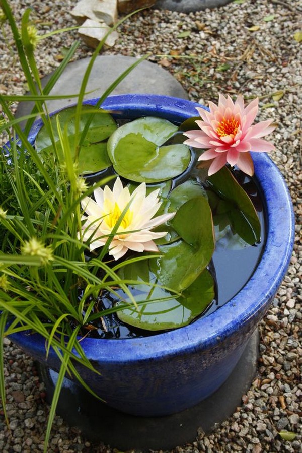 Mini jezírka bez výkopu: 40 DIY inspirací do nádob pro terasu, dvůr i balkon