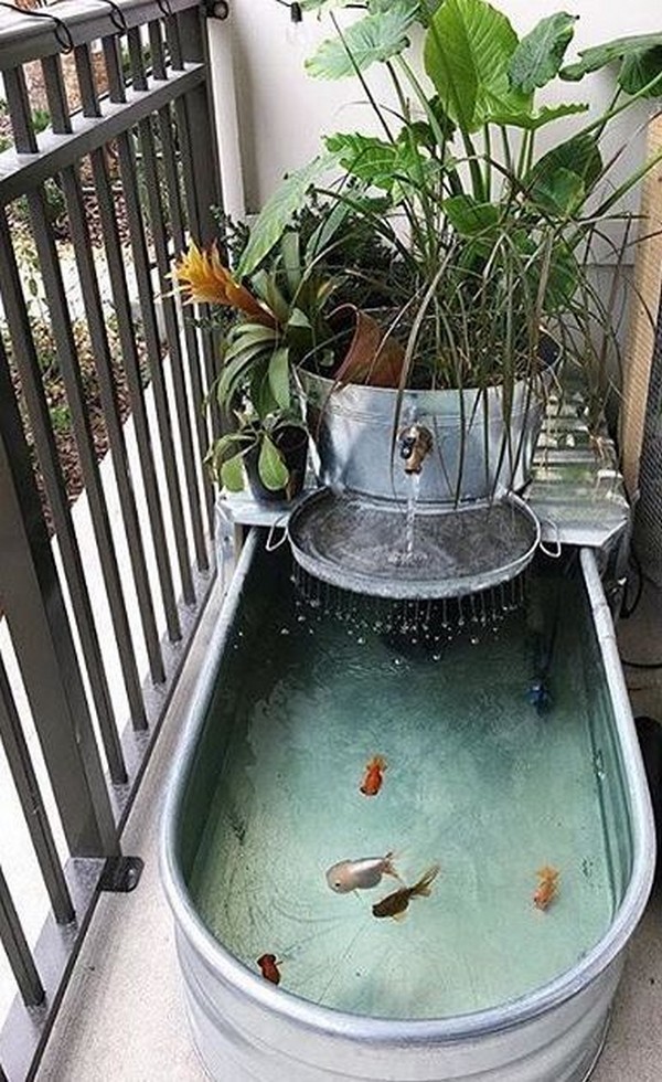 Mini jezírka bez výkopu: 40 DIY inspirací do nádob pro terasu, dvůr i balkon