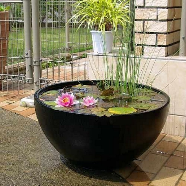 Mini jezírka bez výkopu: 40 DIY inspirací do nádob pro terasu, dvůr i balkon