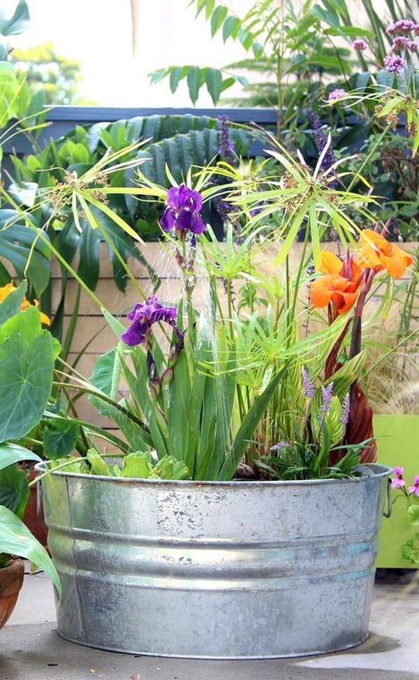 Mini jezírka bez výkopu: 40 DIY inspirací do nádob pro terasu, dvůr i balkon
