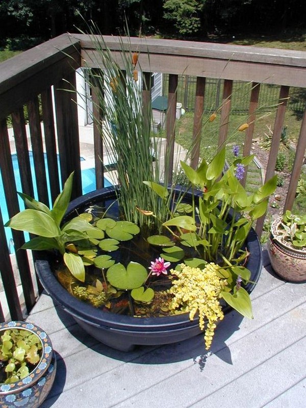 Mini jezírka bez výkopu: 40 DIY inspirací do nádob pro terasu, dvůr i balkon