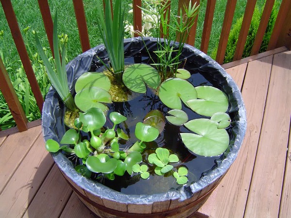 Mini jezírka bez výkopu: 40 DIY inspirací do nádob pro terasu, dvůr i balkon
