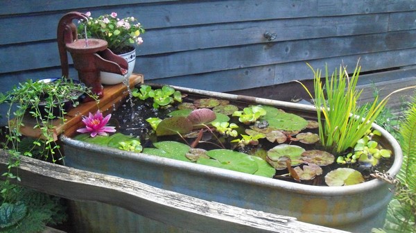 Mini jezírka bez výkopu: 40 DIY inspirací do nádob pro terasu, dvůr i balkon