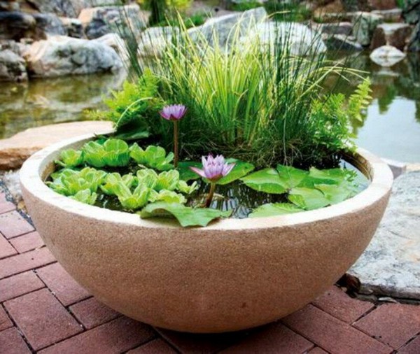 Mini jezírka bez výkopu: 40 DIY inspirací do nádob pro terasu, dvůr i balkon