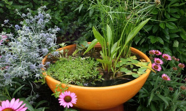 Mini jezírka bez výkopu: 40 DIY inspirací do nádob pro terasu, dvůr i balkon