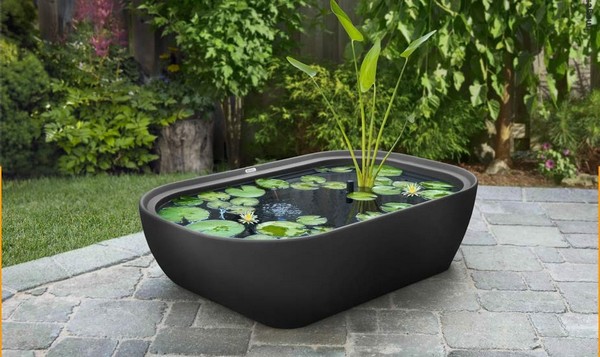 Mini jezírka bez výkopu: 40 DIY inspirací do nádob pro terasu, dvůr i balkon