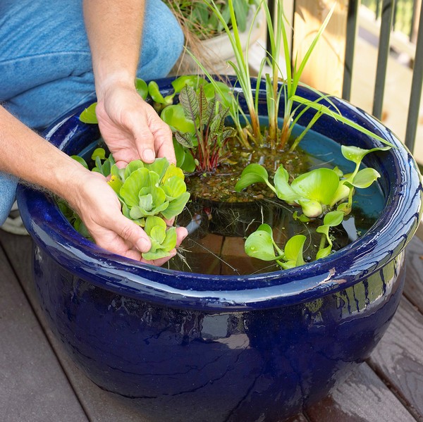 Mini jezírka bez výkopu: 40 DIY inspirací do nádob pro terasu, dvůr i balkon