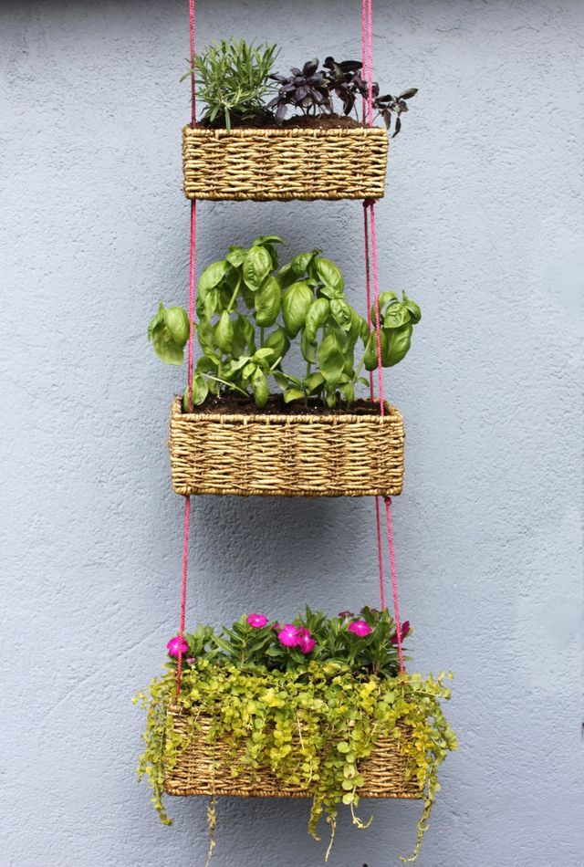 Závěsné květiny v hlavní roli: 35+ inspirací pro krásnější domov