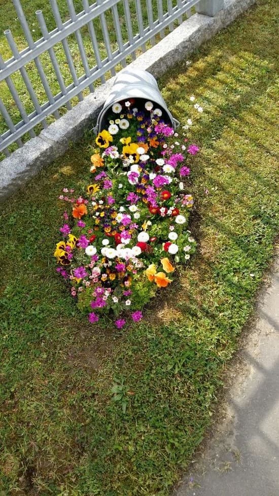 Květinový „potůček“ na zahradě: 35 nápadů, které zaujmou na první pohled