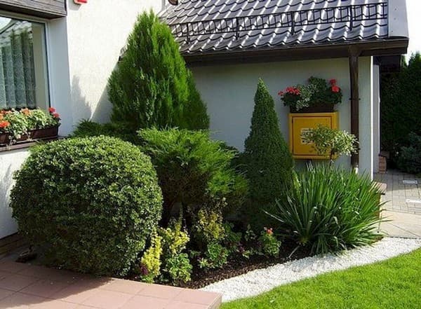 Zimostráz v zahradním designu: 45 úžasných příkladů