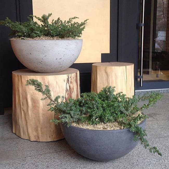 DIY betonové květináče do zahrady: 40 originálních nápadů, které snadno zvládnete