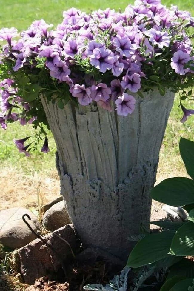 DIY betonové květináče do zahrady: 40 originálních nápadů, které snadno zvládnete