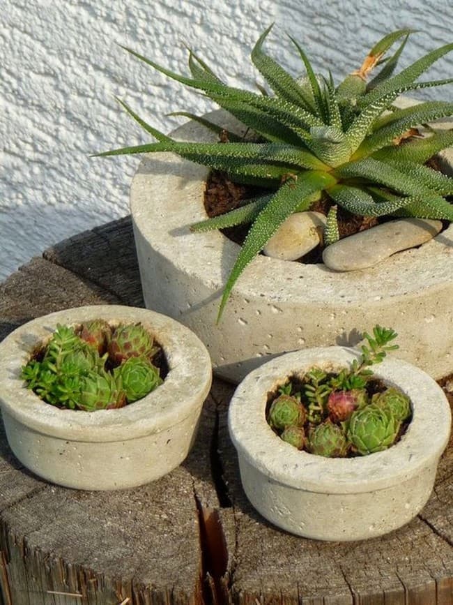 DIY betonové květináče do zahrady: 40 originálních nápadů, které snadno zvládnete