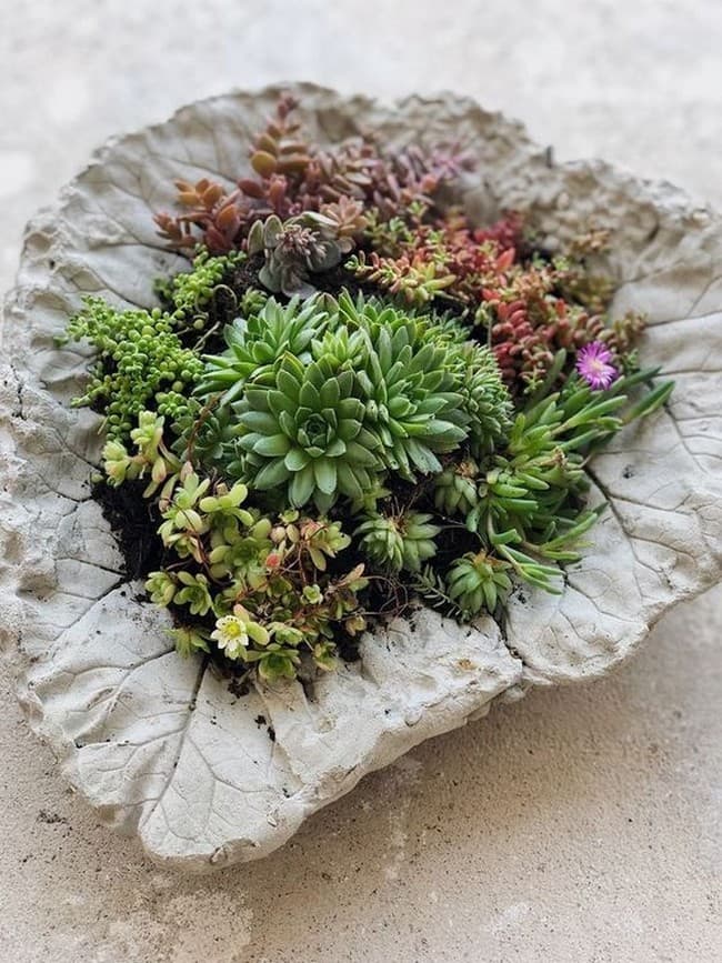 DIY betonové květináče do zahrady: 40 originálních nápadů, které snadno zvládnete