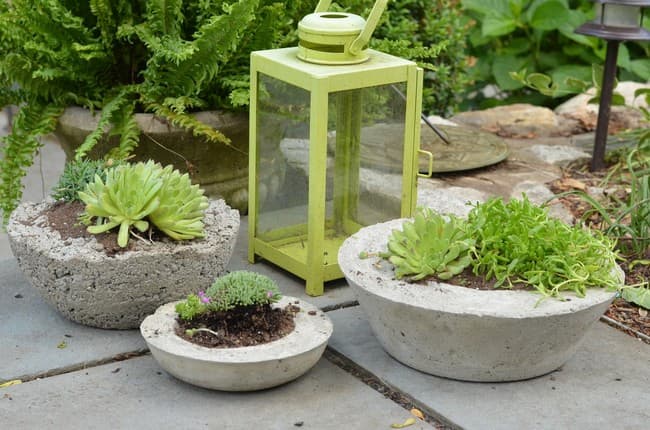 DIY betonové květináče do zahrady: 40 originálních nápadů, které snadno zvládnete