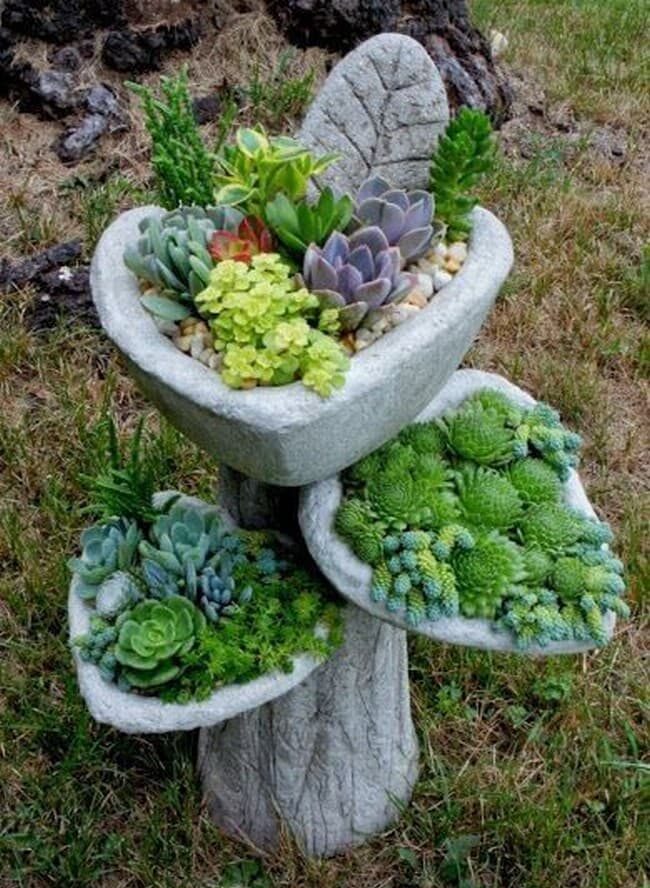 DIY betonové květináče do zahrady: 40 originálních nápadů, které snadno zvládnete