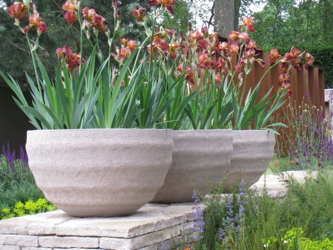 DIY betonové květináče do zahrady: 40 originálních nápadů, které snadno zvládnete