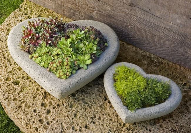 DIY betonové květináče do zahrady: 40 originálních nápadů, které snadno zvládnete